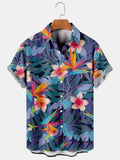Tropical Breeze