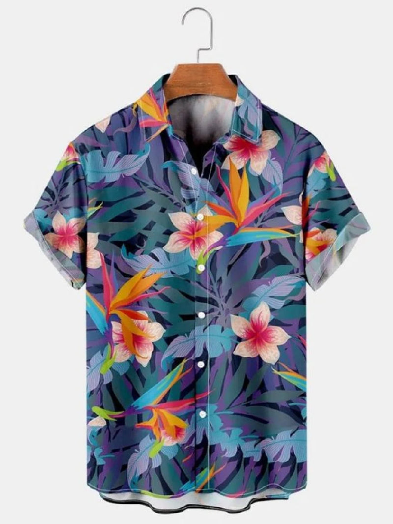 Tropical Breeze