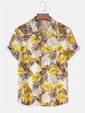 Tropical Breeze