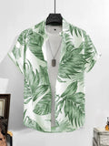 TropicVibe