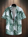 Tropical Breeze